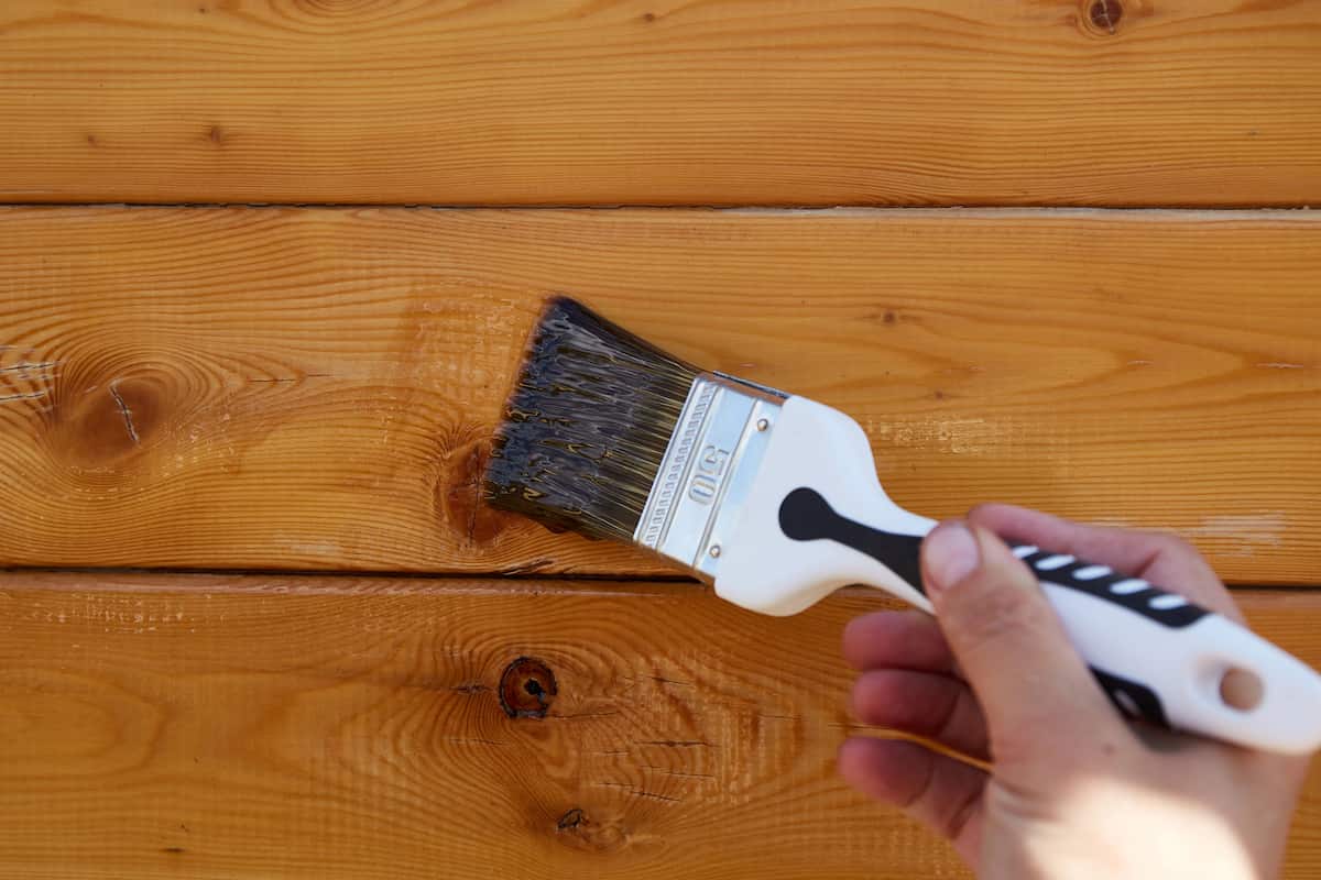brush