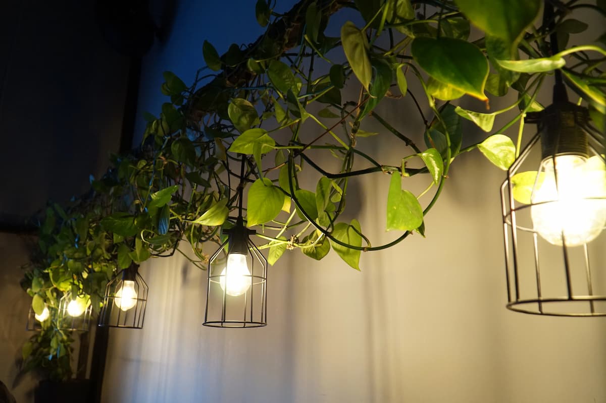 Biophilic lighting