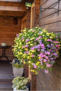 Cesta de flores colgante en la fachada de madera de la caseta